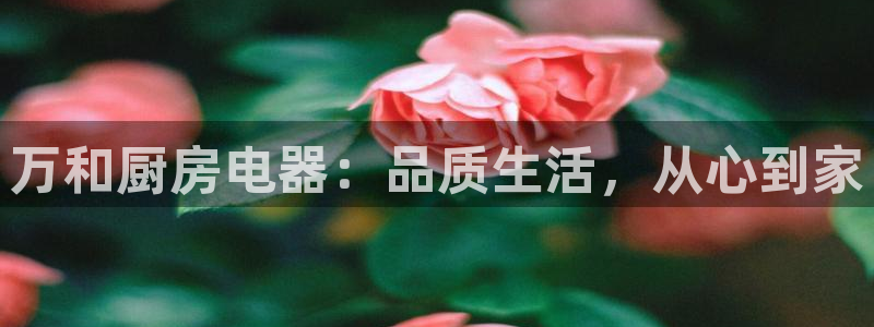 鸿运大发总代理平台