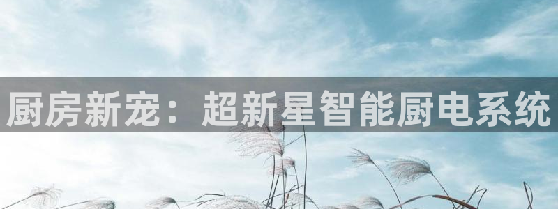 鸿运在线是什么平台