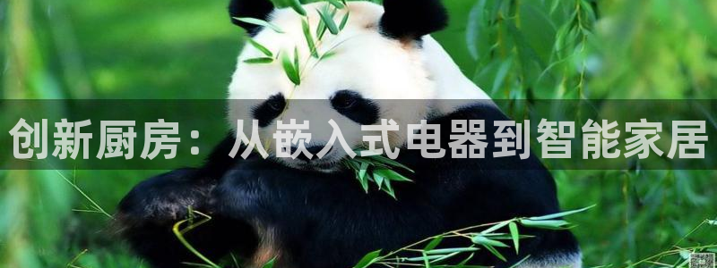 鸿运国际是什么游戏平台