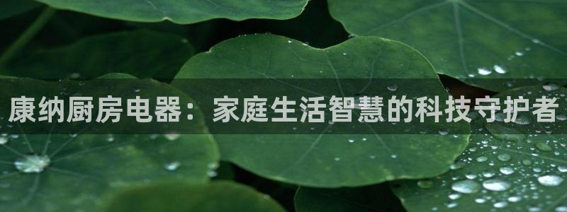 鸿运借款平台正规吗