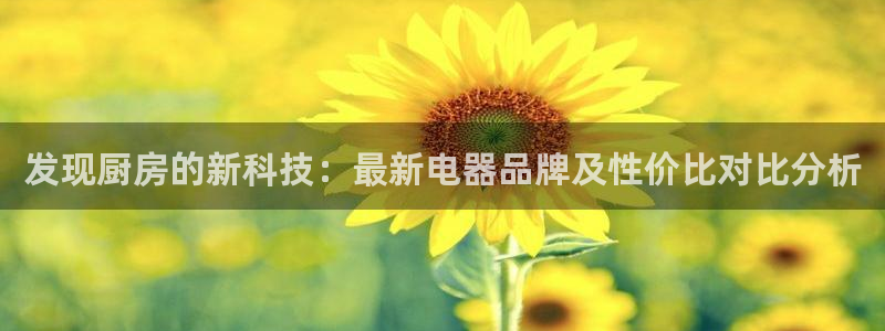 盛世鸿运是什么平台