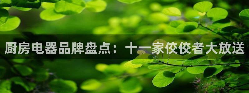 鸿运集团平台招聘