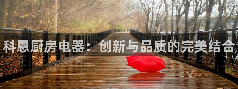 鸿运集团直播平台