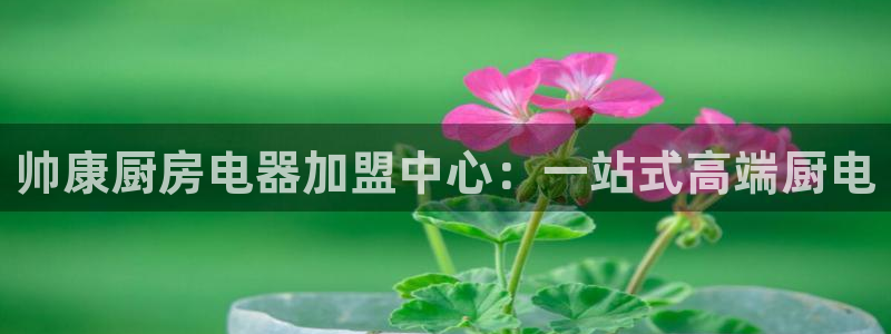 新鸿运股票平台