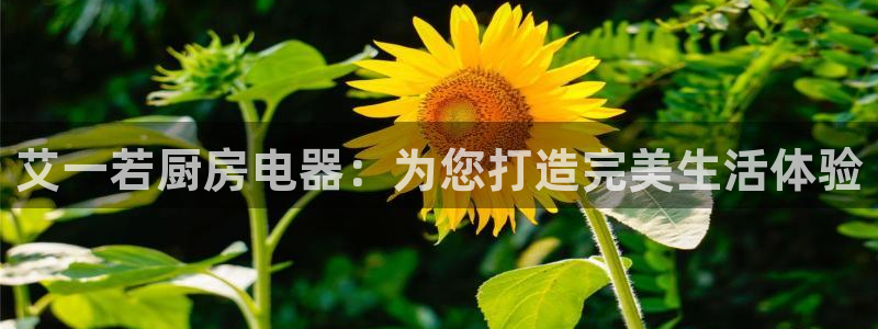 鸿运手机麻将平台