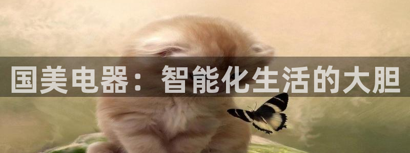 鸿运商通管理平台