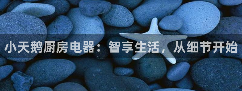 鸿运华宁技术平台