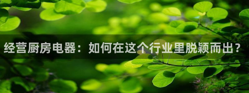 鸿运国际平台平台怎么样