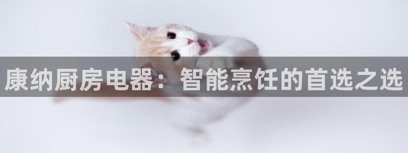 鸿运平台分分彩