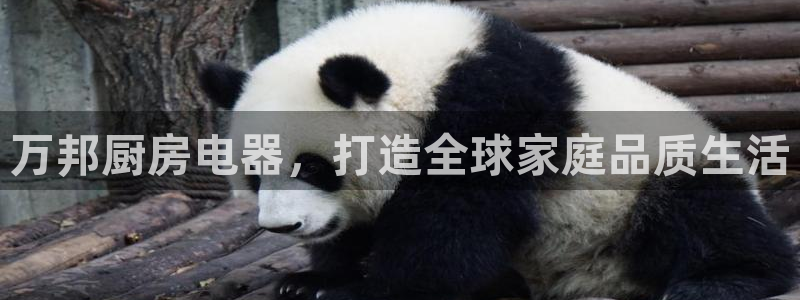 鸿运布艺团购平台