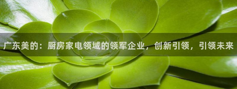 鸿运串串团购平台