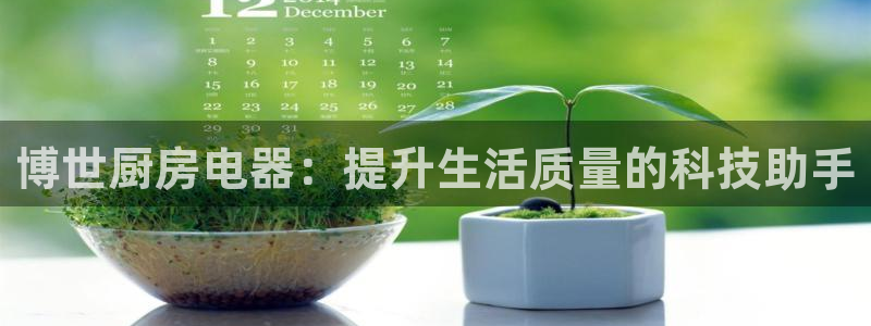 鸿运锦囊是什么平台