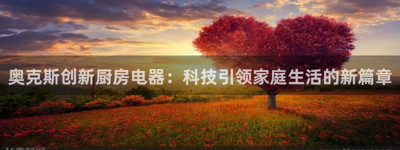 国际鸿运手机版平台