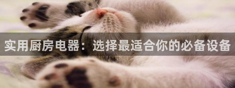 鸿运乐彩平台