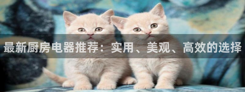 鸿运网上平台