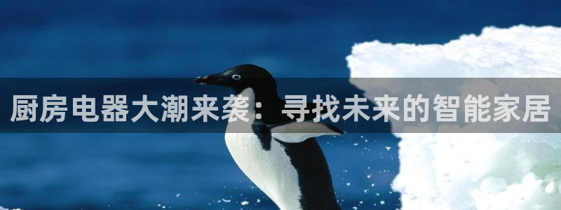 鸿运服务平台是什么平台