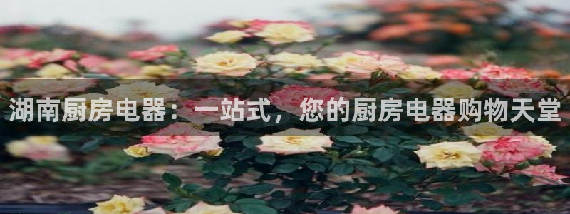 鸿运配资平台