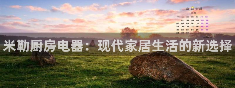鸿运专业购彩平台网止