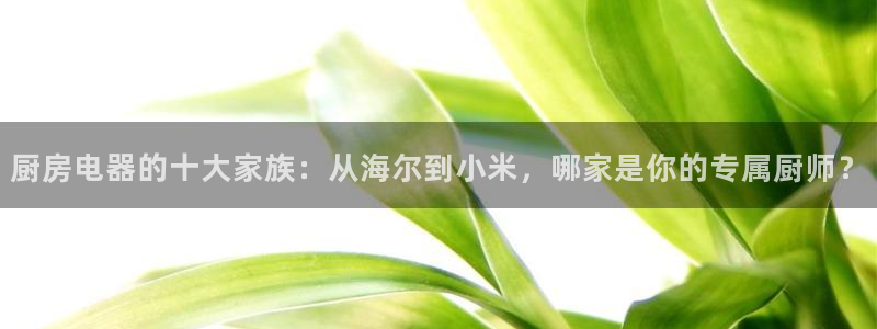 鸿运国际娱乐平台