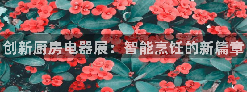 香港鸿运平台