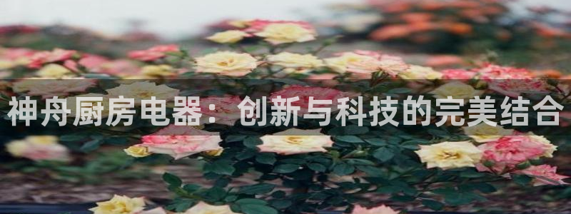 焦作鸿运招人信息平台