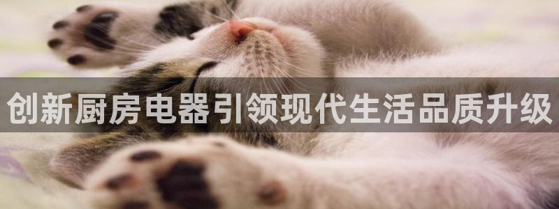 鸿运兄弟创造平台