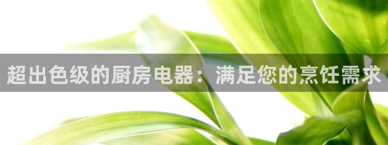 鸿运公司有哪些平台