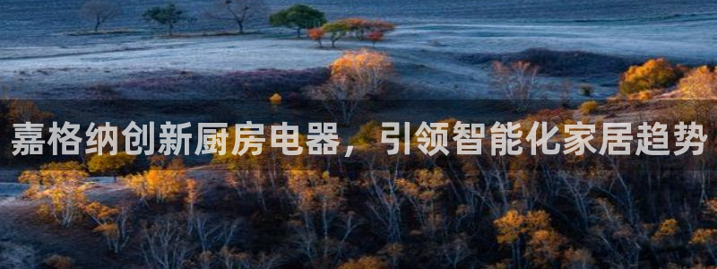鸿运直播平台会员