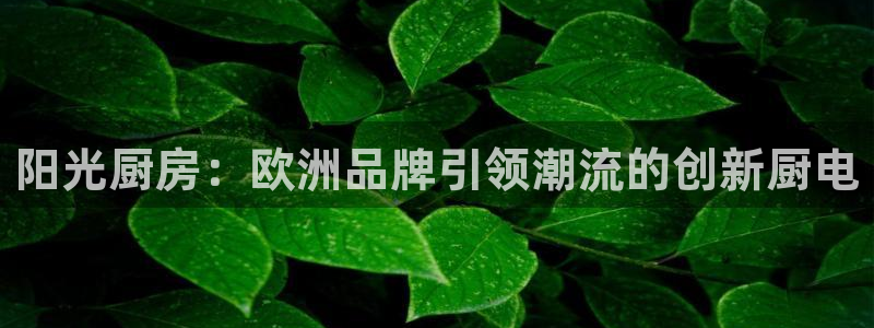 鸿运集团平台官网