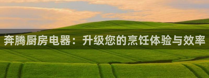 彩鸿运平台