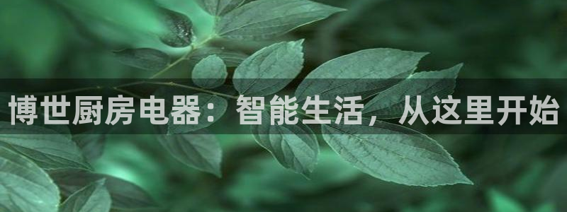 鸿运来彩票平台