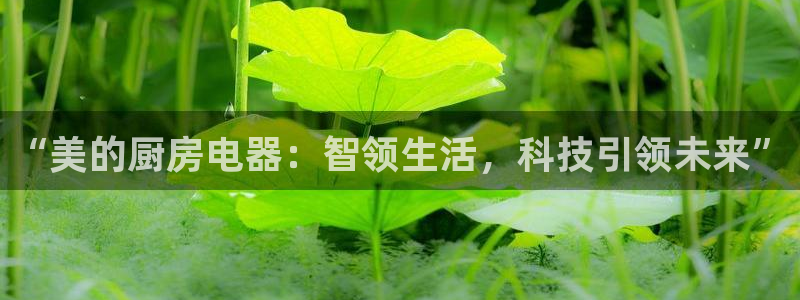 鸿运推广平台