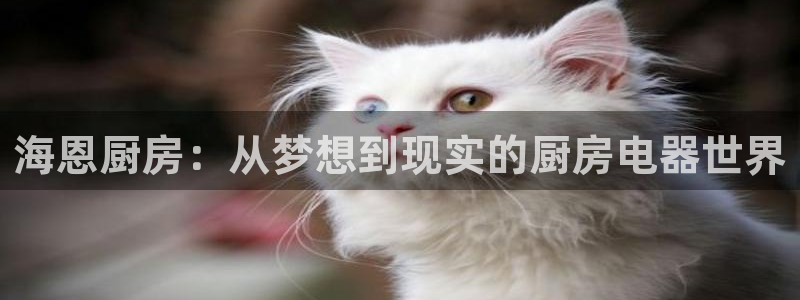 琥珀鸿运彩票平台